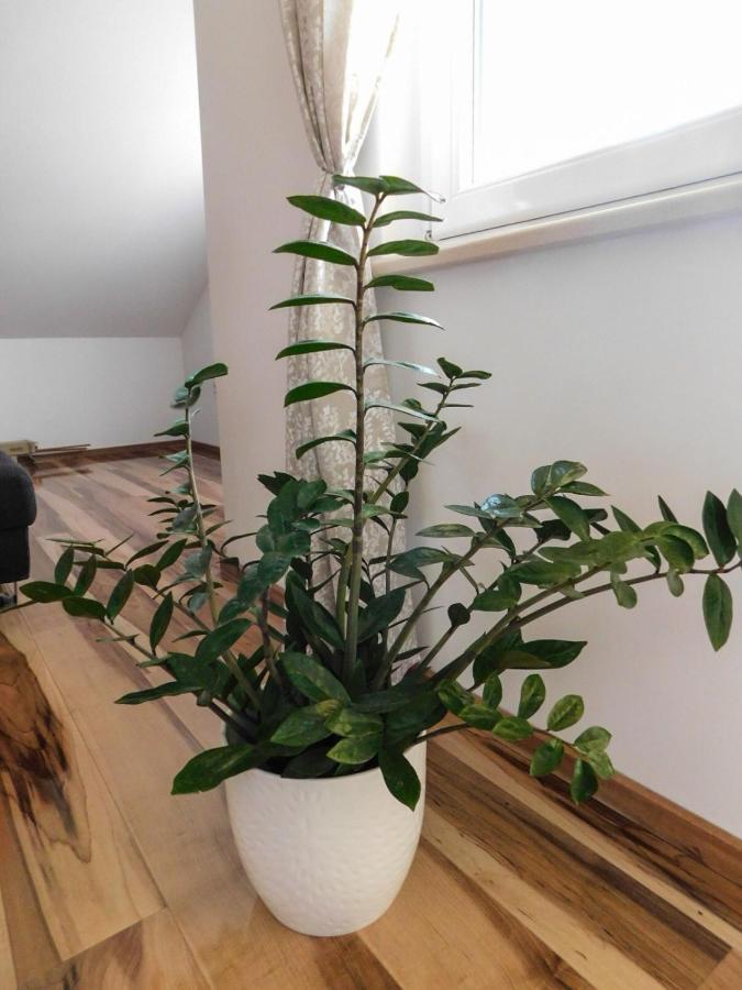 Apartman Lara Otočac Exteriör bild